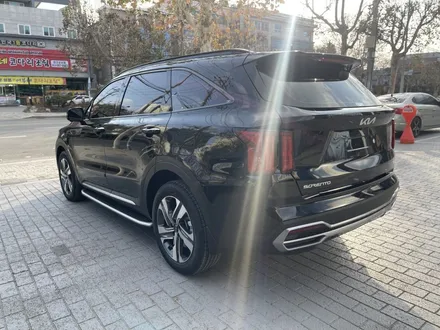 대구 수성구 신차패키지 풀!! 실내PPF에 사이드스텝까지 원하시는건 말만하세요 / 대구 달서구 이곡동