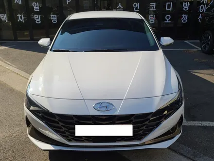 아반떼 더욱 완벽하게 완성하는 방법 / 대구 달서구 이곡동