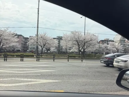 은평구 썬팅 테슬라 틴팅 버텍스900 시공 후기 / 은평구 증산동