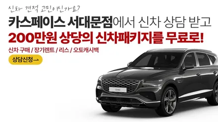 서울 신차패키지 카니발 루마버텍스 900 700으로 높은 시인성을 보여요 / 은평구 증산동