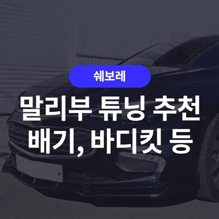 쉐보레 말리부 튜닝 추천! 스터디셀러 튜닝 배기 등 5개 튜닝 추천 / 구로동