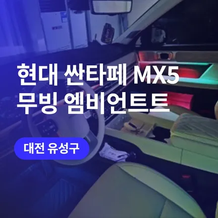 대전 유성 싼타페 MX5 무빙엠비언트 / 순정과 동일 비노출 작업을 배상책임으로 안전하게까지 / 구로동