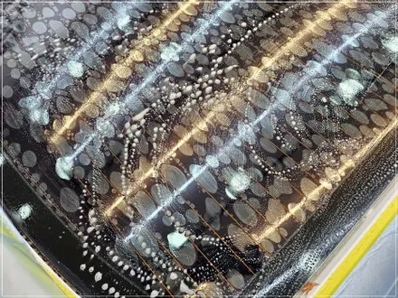 진주, 사천 썬팅 업체 정보 및 재시공 후기 (아반떼 AD) / 구로동