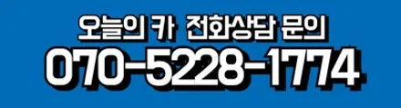 카니발KA 엠비언트 전주 엠비언트라이트 시공 잘하는곳 / 구로동