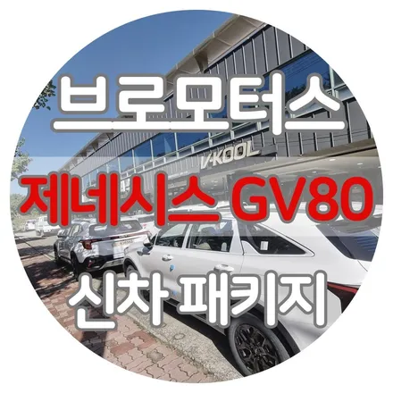 거제 GV80 브이쿨VK 썬팅 PPF 신차 출고 패키지 시공 / 경남 거제, 통영, 창원