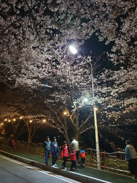 [그랜져IG 신차검수패키지] 신차검수의 최적화! 브이쿨썬팅부터 유리막코팅까지~!(거제 브로모터스) / 경남 거제, 통영, 창원
