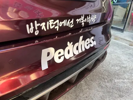 [전체랩핑] 기아 K5 펀퍼플 전체랩핑! / 안산시 상록구 일동