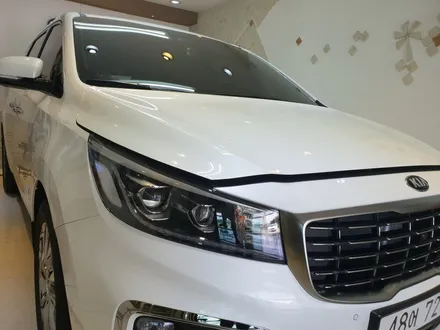 더뉴카니발 평택PPF필름으로 도장면 보호하기... / 경기 평택