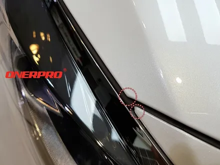 K5에도 Onerpro NEXUS로 평택PPF에서 도장면 완벽히 보호하기 / 경기 평택