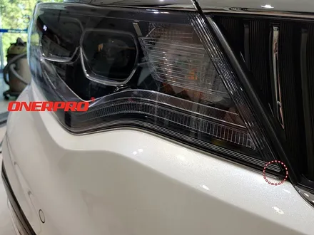 K5에도 Onerpro NEXUS로 평택PPF에서 도장면 완벽히 보호하기 / 경기 평택