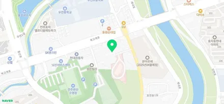 전주ppf / 렉서스 도어컵 ppf /  조선광택 전주 / 경기 평택