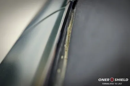 [BMW Z4 에디션10대 한정판 작업기] BMW Z4  프로즌 딥 그린 무광 유리막코팅 & PPF시공으로 완벽 보호 / 서초, 강남, 양재