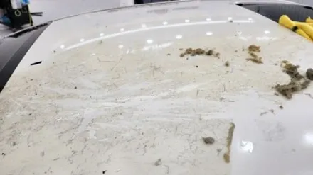 천안 루프스킨 제거  아산 랩핑 제거 K3 변색되고 갈라짐 현상 있어도 제거가 가능해요 / 충남 아산