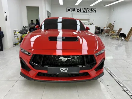 머스탱은 GT 8기통 5.0이지! 화이트 바이퍼 라인 데칼 랩핑 성남 아워링스에서 / 서초, 강남, 양재