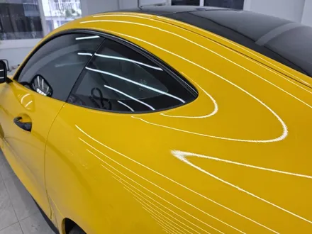 벤츠 AMG GTs 컬러 PPF 썬플라워 옐로우, 성남 아워링스에 준비된 변신 방법은 두 가지입니다. / 서초, 강남, 양재