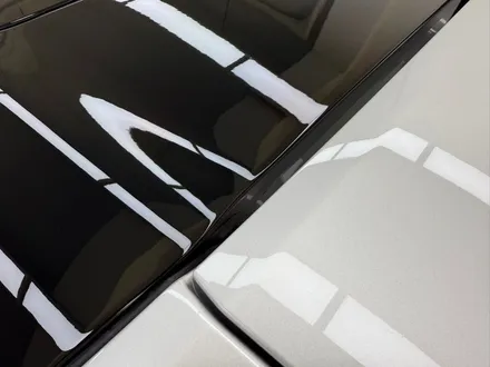 페라리 296 gts 옐로우 데칼 랩핑 바이퍼라인, 부분 블랙 PPF 루프스킨 블랙포인트 송파 하남 분당 / 서초, 강남, 양재
