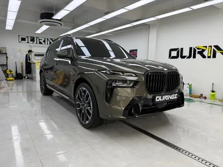 송파 PPF 크롬죽이기 BMW X7 전체보호막 + 새치 염색 / 서초, 강남, 양재