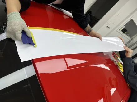 머스탱은 GT 8기통 5.0이지! 화이트 바이퍼 라인 데칼 랩핑 성남 아워링스에서 / 서초, 강남, 양재