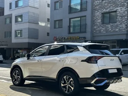 스포티지 NQ5 + 일산 하버캠프 세라믹본드 썬팅 전문샵 / 고양 덕양구 원흥동
