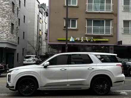 팰리세이드 후퍼옵틱 드레이 프나세 틴팅 몬스터디테일스튜디오 / 고양 덕양구 원흥동