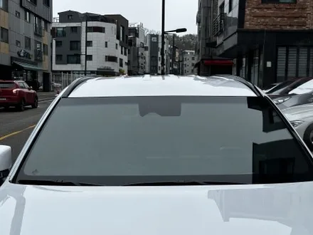 팰리세이드 후퍼옵틱 드레이 프나세 틴팅 몬스터디테일스튜디오 / 고양 덕양구 원흥동