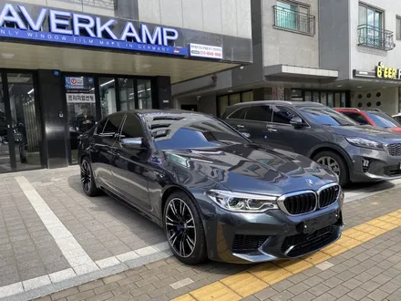 심금을 울리는 BMW M5, 하버캠프 세라믹본드로 틴팅 / 고양 덕양구 원흥동