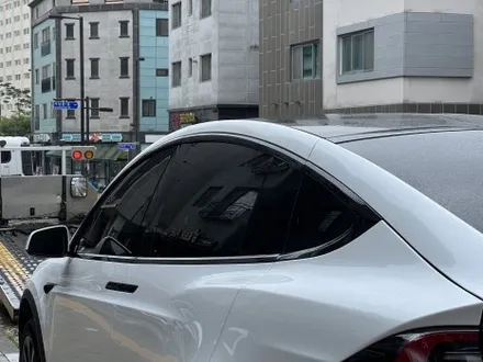 테슬라 모델 X 틴팅? 고민 없이 바로 하버캠프 세라믹 본드로! / 고양 덕양구 원흥동