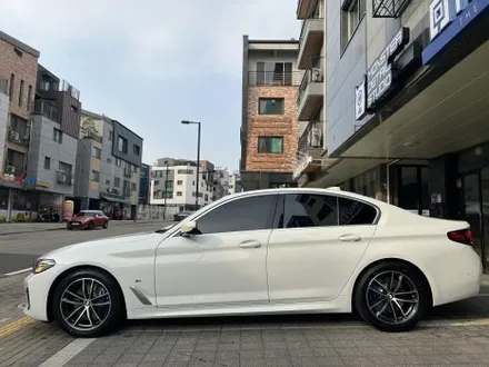 공들였던 BMW 52Oi 알파인 화이트와 하버캠프 세라믹본드의 조화 with 간단한 디테일링 (일산 신차패키지) / 고양 덕양구 원흥동