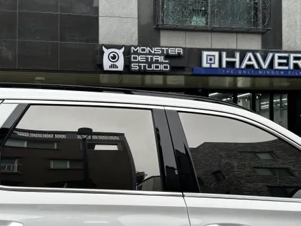 팰리세이드 후퍼옵틱 드레이 프나세 틴팅 몬스터디테일스튜디오 / 고양 덕양구 원흥동