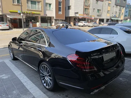 하버캠프 세라믹본드 S클래스에 입혀주기 / 고양 덕양구 원흥동