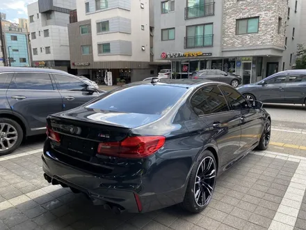 심금을 울리는 BMW M5, 하버캠프 세라믹본드로 틴팅 / 고양 덕양구 원흥동