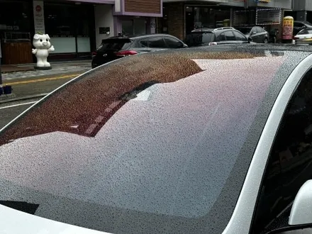 테슬라 모델 X 틴팅? 고민 없이 바로 하버캠프 세라믹 본드로! / 고양 덕양구 원흥동