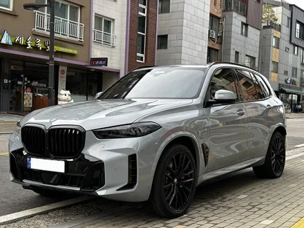 후퍼옵틱 프나세 백화현상없이 BMW X5 50e에 작업하기 / 고양 덕양구 원흥동