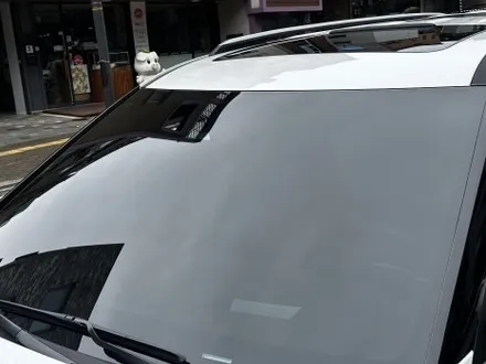 [기아 카니발 1.6 하이브리드 시그니처 스노우 화이트 펄] 비반사 틴팅 정점 하버캠프 세라믹본드 농도 중 프라이버시 짙게 / 고양 덕양구 원흥동