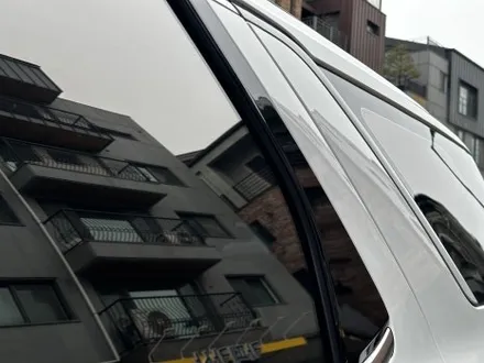 팰리세이드 후퍼옵틱 드레이 프나세 틴팅 몬스터디테일스튜디오 / 고양 덕양구 원흥동