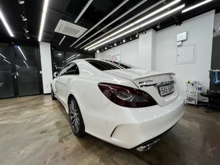 CLS63s amg, 하버캠프 세라믹본드로 재시공 했어요! (일산 썬팅) / 고양 덕양구 원흥동