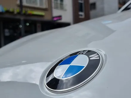 [비클라운지] BMW 520i 하버캠프 세라믹본드 시공후기 / 고양 덕양구 원흥동