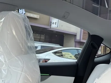 하버캠프 세라믹본드 \'시인성 농도\'로 테슬라 모델 Y 틴팅 했어요 / 고양 덕양구 원흥동