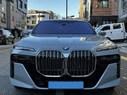 후퍼옵틱 프나세 백화현상 점검, BMW i7 전면 드레이, 측후면 프나세로 / 고양 덕양구 원흥동