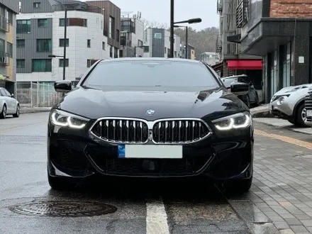 BMW 840i 쿠페 백화 크랙 없는 후퍼옵틱 드레이 프나세 시공 / 고양 덕양구 원흥동