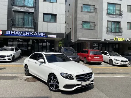 압도적인 가성비의 하버캠프 고양 신차패키지 / 고양 덕양구 원흥동