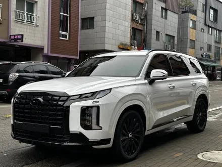팰리세이드 후퍼옵틱 드레이 프나세 틴팅 몬스터디테일스튜디오 / 고양 덕양구 원흥동