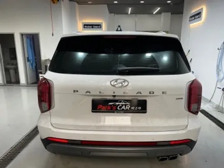대전 썬팅 팰리세이드 애니가드 AP80R 전체 썬팅 재시공 / 대전 서구