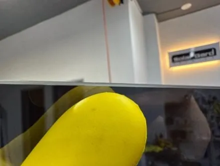 대전 신차패키지  디올뉴 팰리세이드 솔라가드 프리미엄 퀀텀 / 대전 서구
