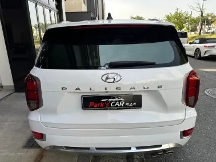 대전 썬팅 팰리세이드 애니가드 AP80R 전체 썬팅 재시공 / 대전 서구