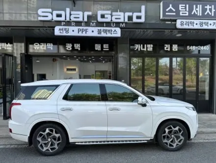 대전 썬팅 팰리세이드 애니가드 AP80R 전체 썬팅 재시공 / 대전 서구