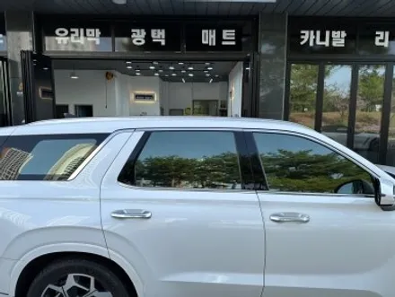대전 썬팅 팰리세이드 애니가드 AP80R 전체 썬팅 재시공 / 대전 서구