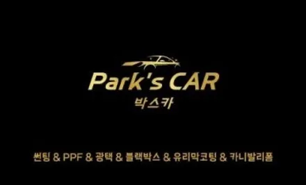 대전 박스카 KA4 카니발 RGB 엠비언트 / 대전 서구
