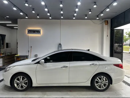 대전 썬팅 YF쏘나타 애니가드 AP80R 전체 썬팅 재시공 / 대전 서구