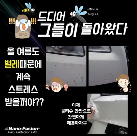 니로 썬팅,언더코팅,PPF필름 시공 신차패키지로 한방에~ / 일산동구 문봉동